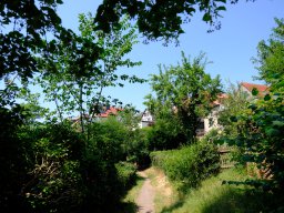 Waldeck
